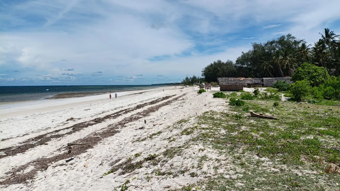 DIANI BEACHFRONT