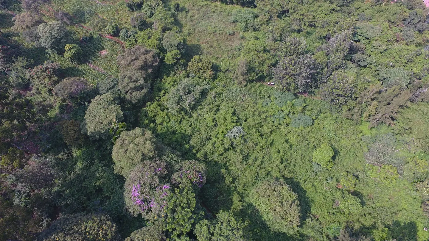 3/4 Acre In Kamiti Road Opposite Wood Creek School
