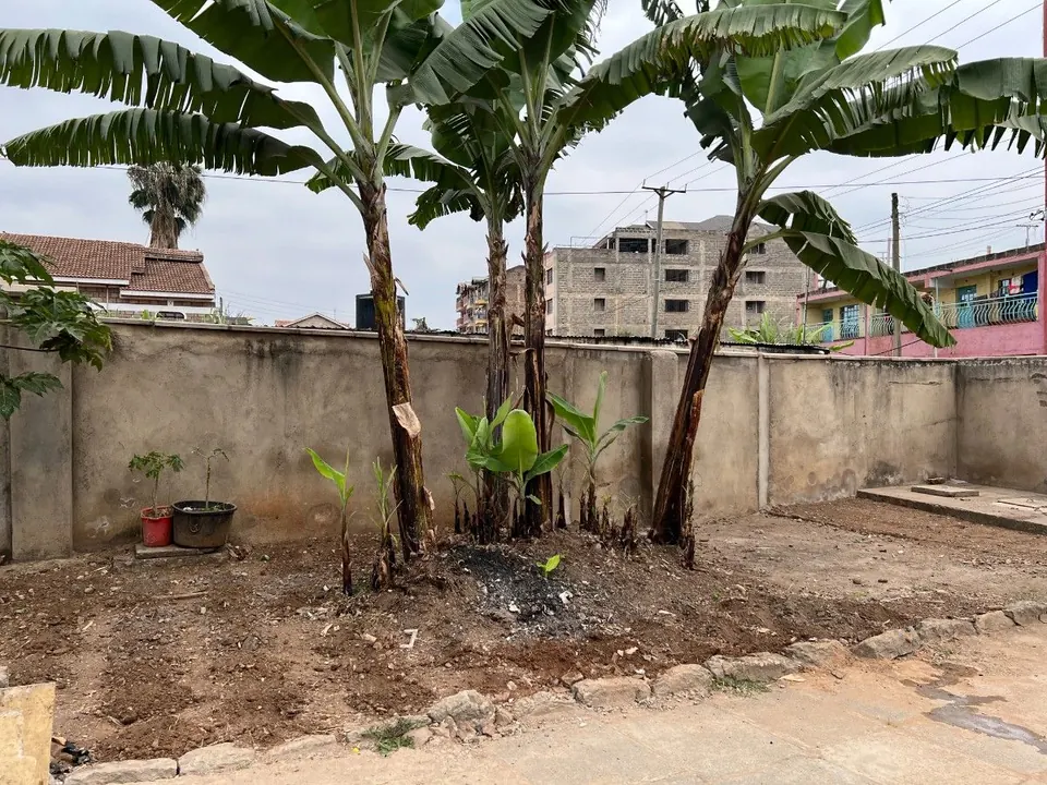 Secure 4-Bedroom House in Kasarani Seasons Gated Community