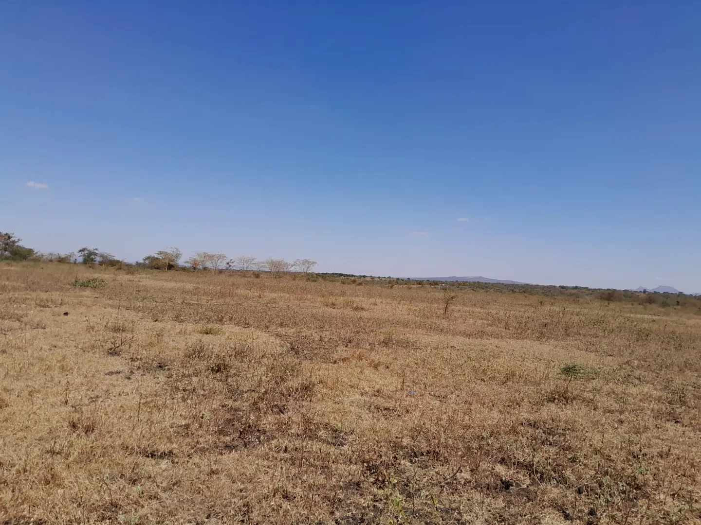 50 by 100 Konza Phase II 1.5km from Konza City