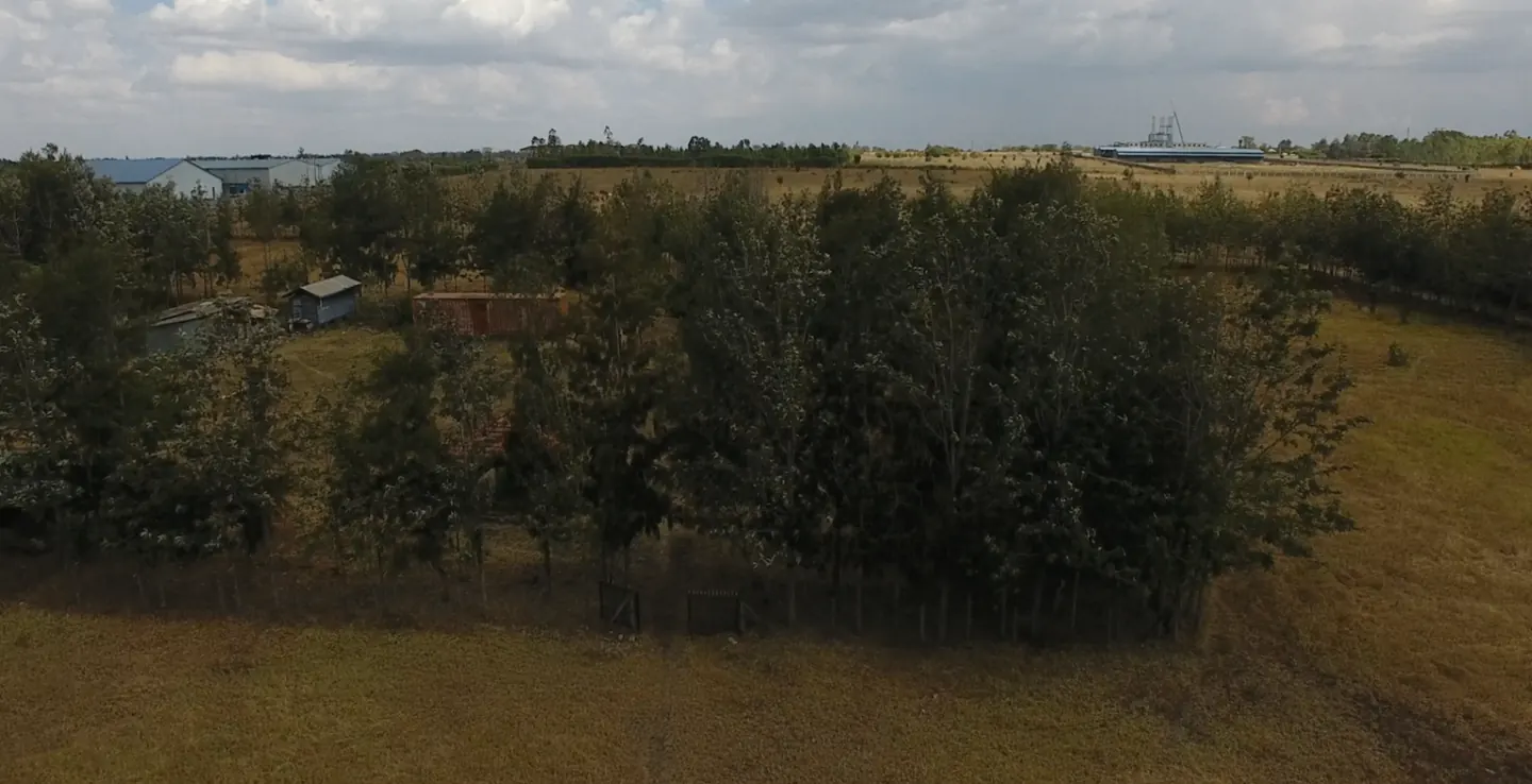 12 Acres Land In Isinya, Kajiado County.