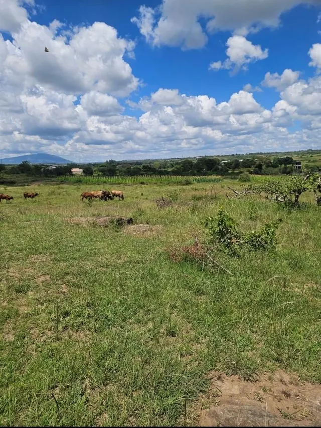 RESIDENTIAL PRIME PLOT FOR SALE AT WITEITHIE -JUJA