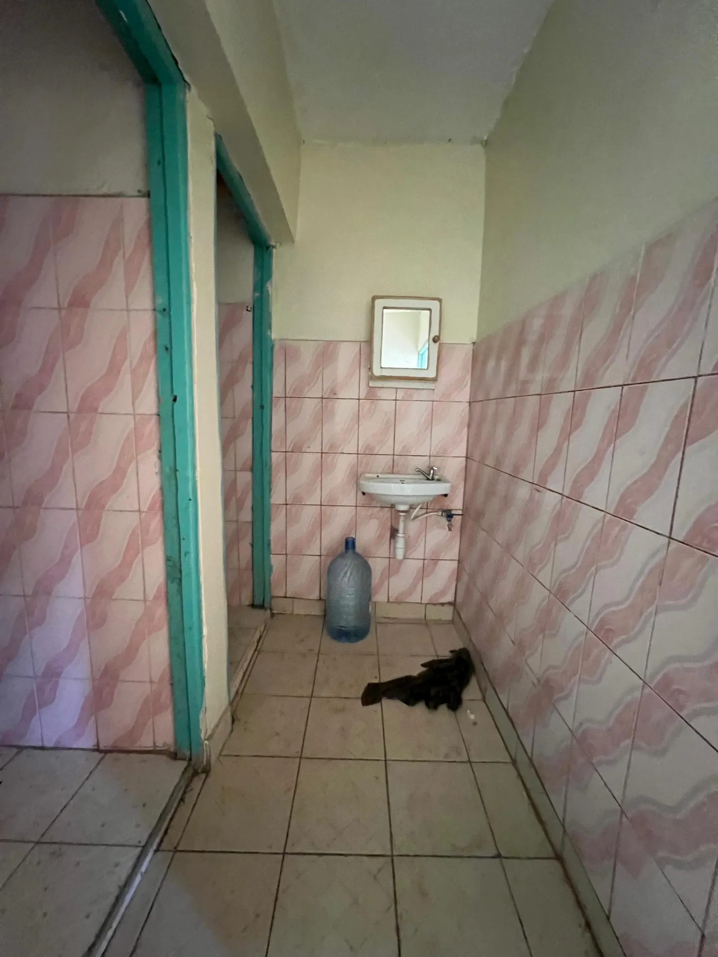 Affordable 1 Bedroom in Kasarani Sports View near Equity Bank & TRM