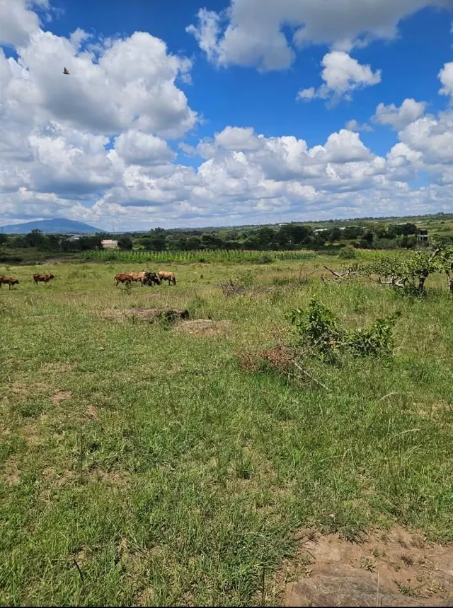 RESIDENTIAL PRIME PLOT FOR SALE AT WITEITHIE -JUJA