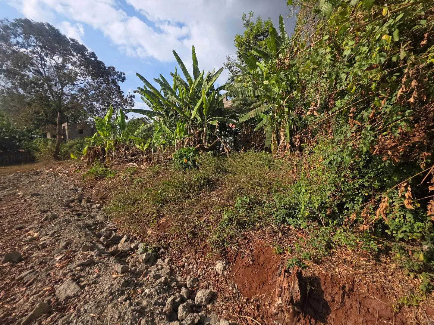 COMMERCIAL PLOT FOR SALE RUAKA